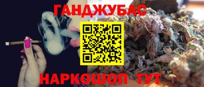 Альфа ПВП Можга