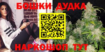 Альфа ПВП Можга